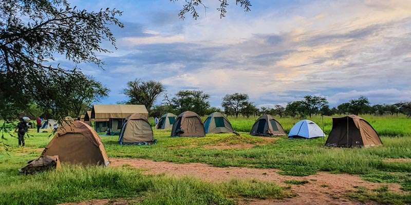 Tanzania Camping Safaris